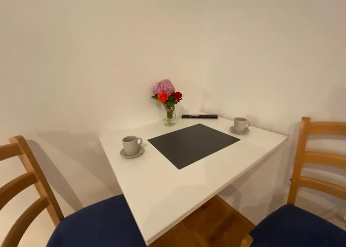Studio Apartment And Rooms Adria